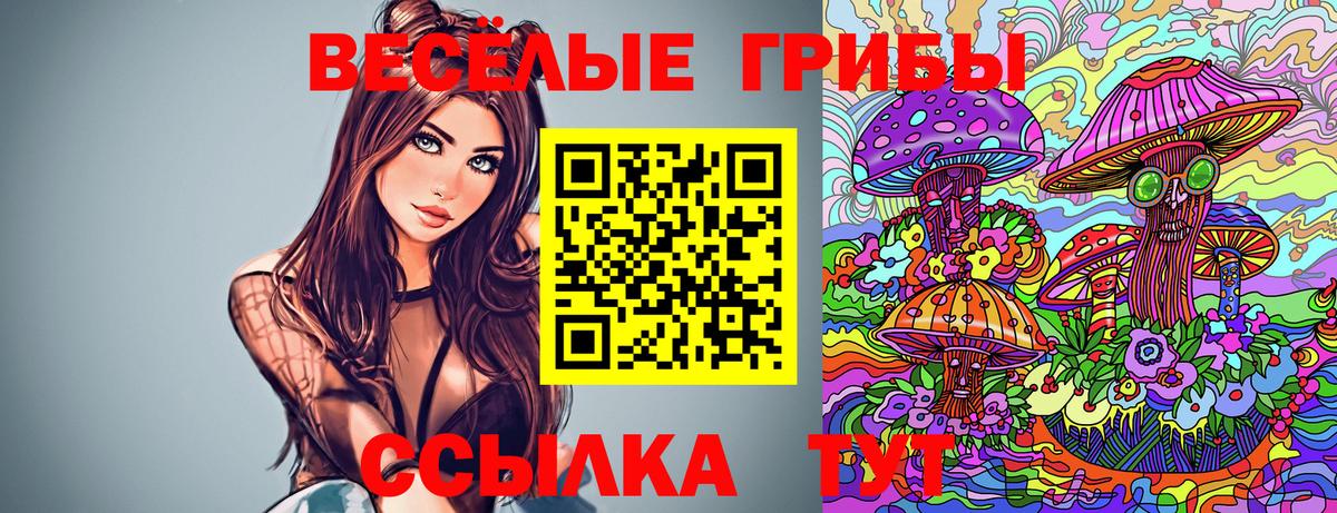 Галлюциногенные грибы прущие грибы  Вход с VPN  продажа наркотиков  Нальчик  Галлюциногенные грибы GOLDEN TEACHER 